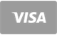 Visa card payment method icon